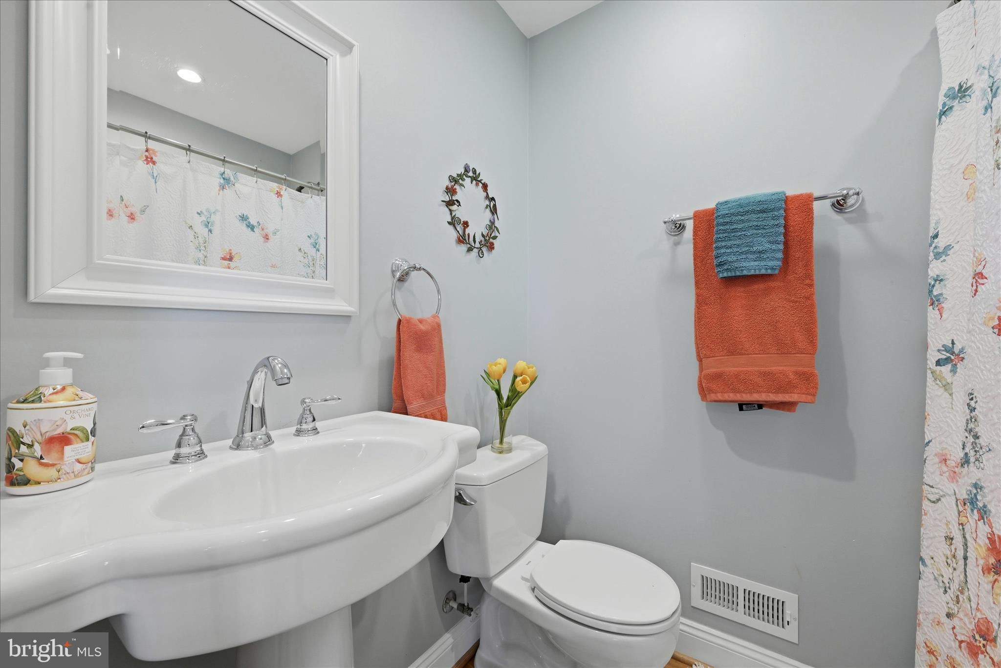 500 Delicious Road Linden, VA 22642 - Photo 18 of 69 Bathroom