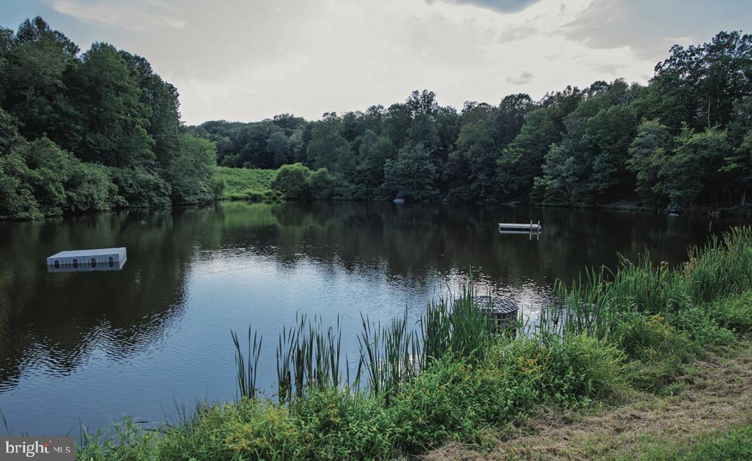 500 Delicious Road Linden, VA 22642 - Photo 47 of 69 Community Lake