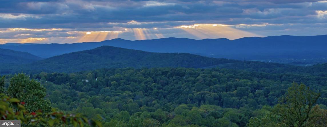 500 Delicious Road Linden, VA 22642 - Photo 68 of 69 Views