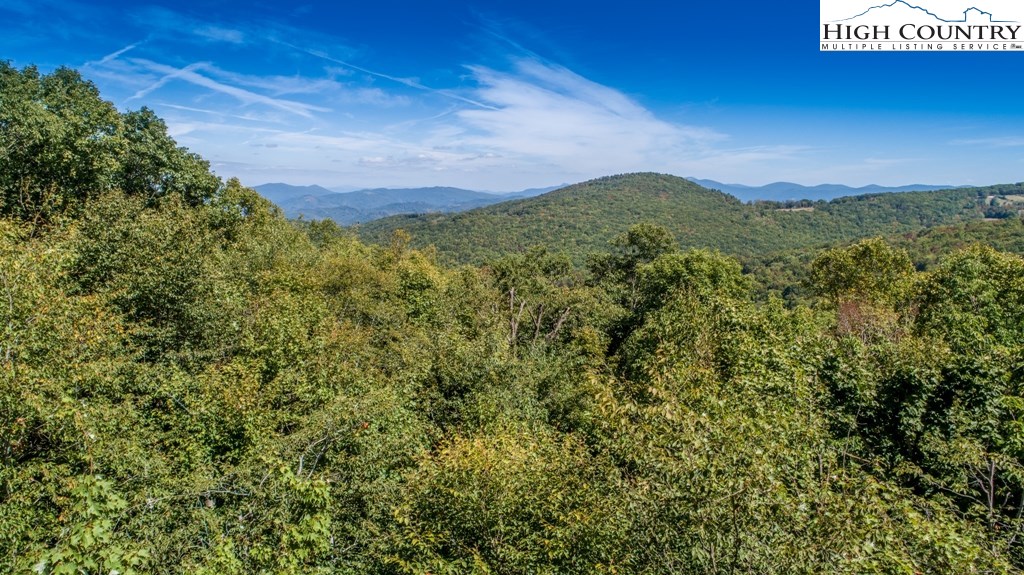 304 Lakeledge Road Beech Mountain, NC 28604 - Photo 2 of 42 a view of a city with lush green forest