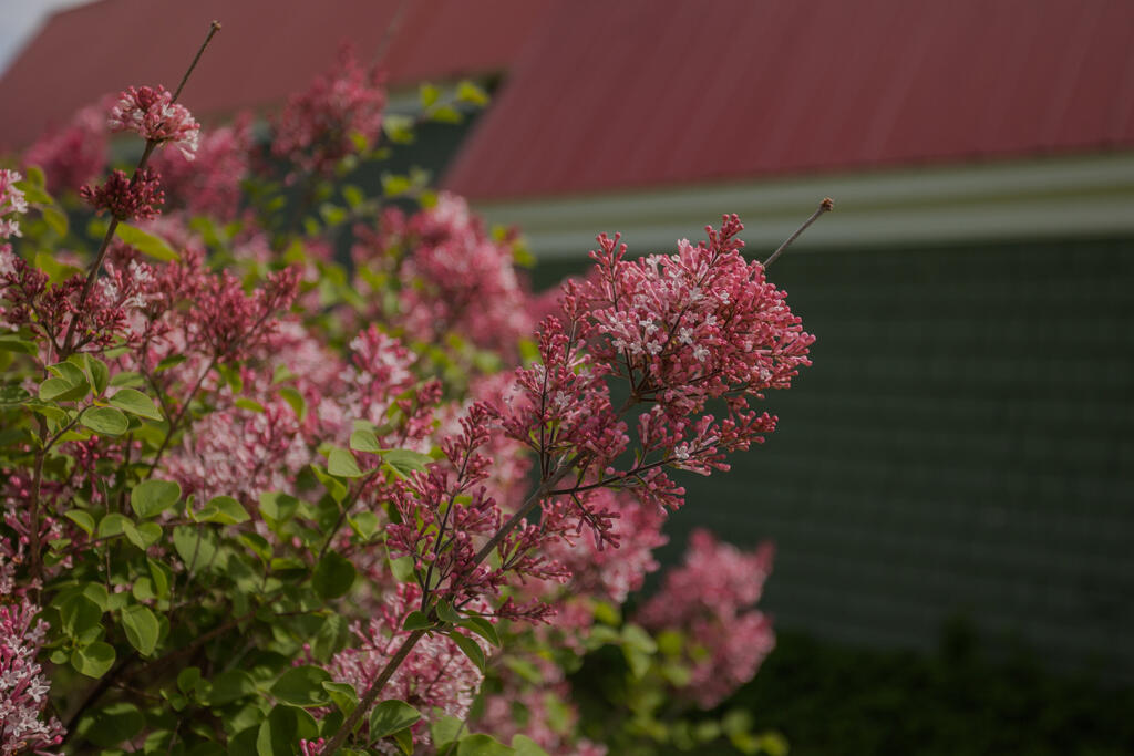 59 Chandler Road New Sharon, ME 04955 - Photo 98 of 170 taylor-kaminsky-photo-20