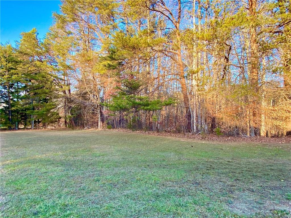 0 Graves Road Reidsville, NC 27320 - Photo 2 of 6 Gallery Image 2