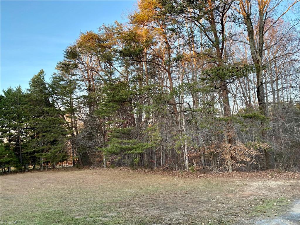 0 Graves Road Reidsville, NC 27320 - Photo 3 of 6 Gallery Image 3