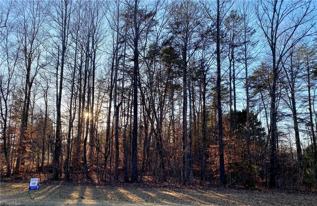 0 Graves Road Reidsville, NC 27320 - Photo 4 of 6 Gallery Image 4