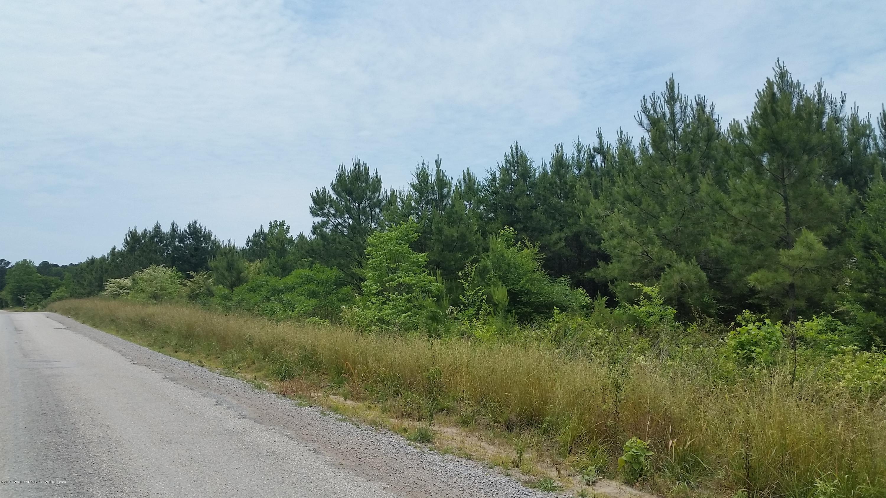 Reno Road Townley, AL 35587 - Photo 2 of 2 Gallery Image 2