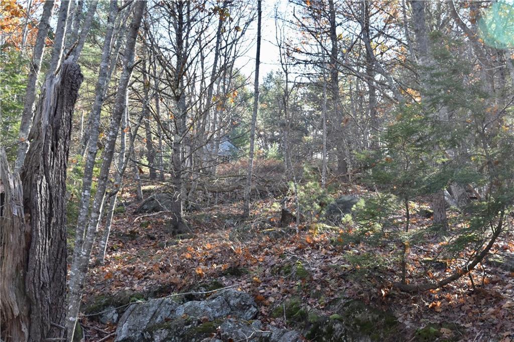 360 Webber Road Georgetown, ME 04548 - Photo 7 of 11 Photo