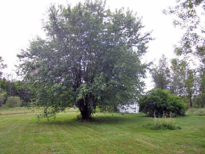 626 Hudson Road Corinth, ME 04427 - Photo 21 of 26 Land/Lot.