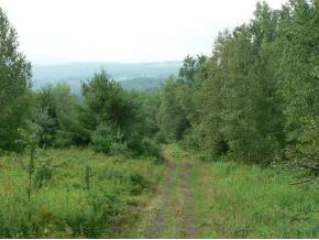 Off Lake Region Road Orleans, VT 05860 - Photo 4 of 10 Gallery Image 4