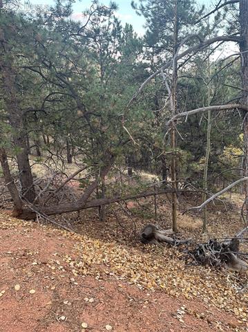 418 Valley Road Divide, CO 80814 - Photo 5 of 6 Gallery Image 5