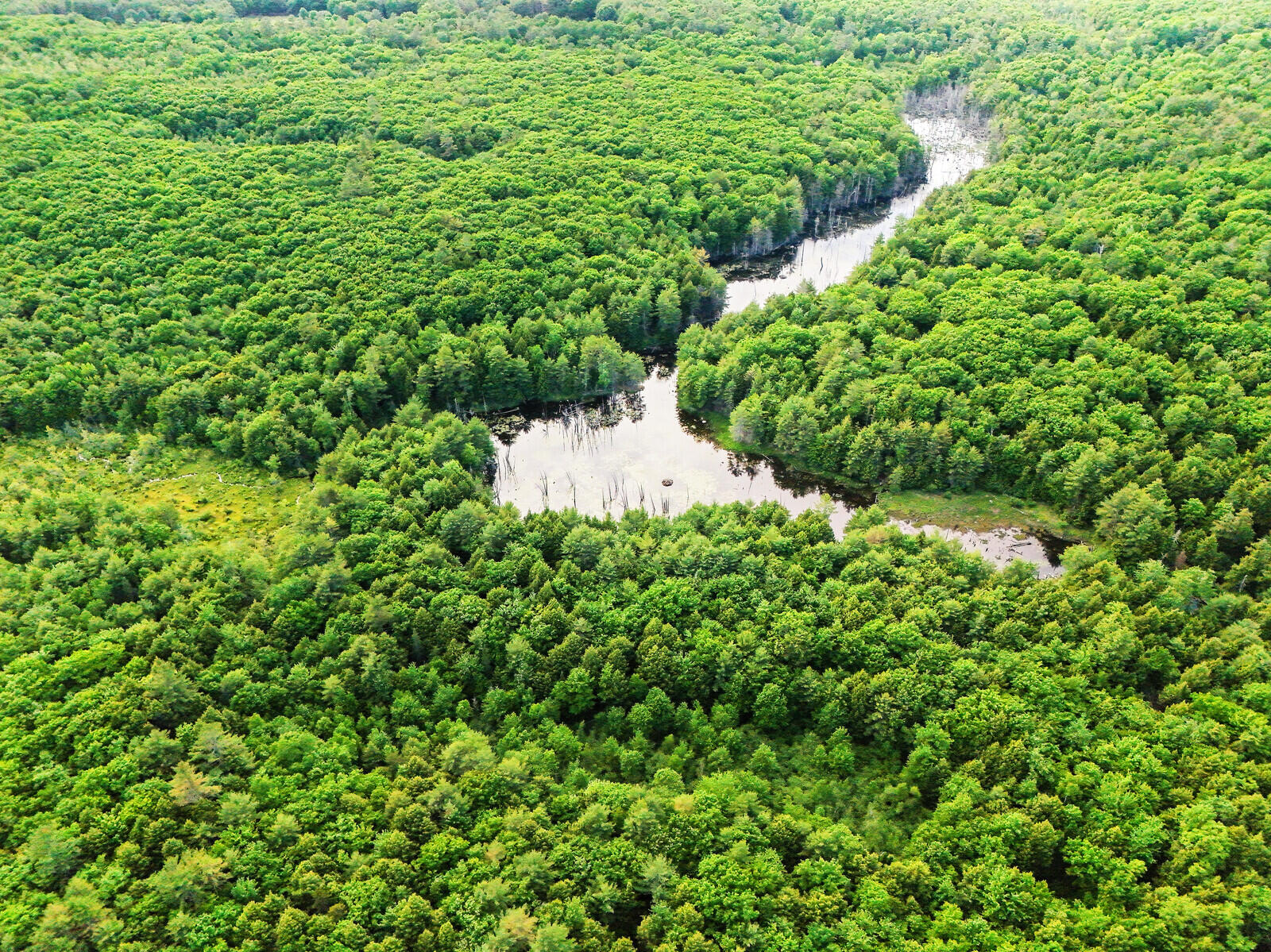 Tbd Pond Road Manchester, ME 04351 - Photo 8 of 20 07_DJI_20240603160550_0144_D_DxO_mls