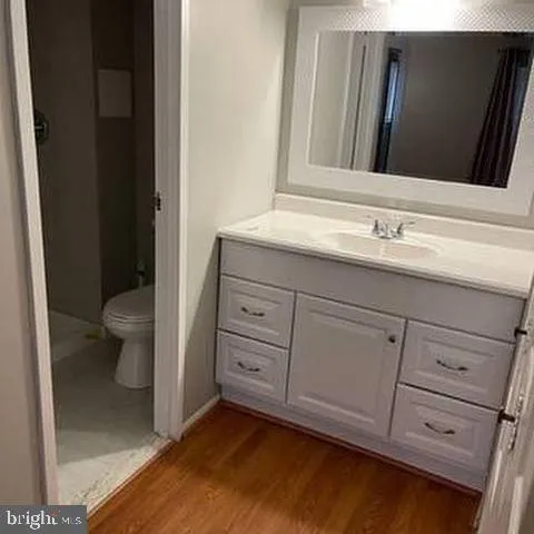 a bathroom with a sink and a toilet