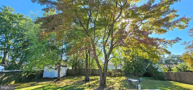 a view of yard with green space