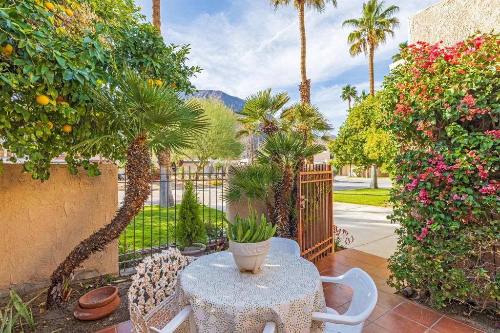 202 Pointing Rock Drive, Unit 6 Borrego Springs, CA 92004 - Photo 4 of 28 a view of a patio with table and chairs potted plants and palm tree