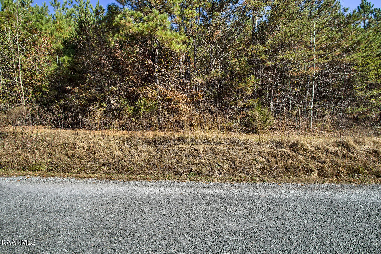 14531457 Sloans Gap Road Ocoee, TN 37361 - Photo 15 of 50
