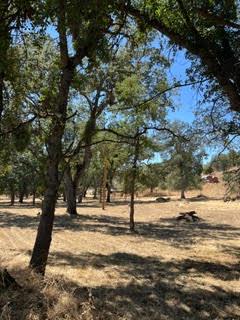 50294 Chuckwagon Road Yokuts Valley, CA 93675 - Photo 45 of 52 Gallery Image 45