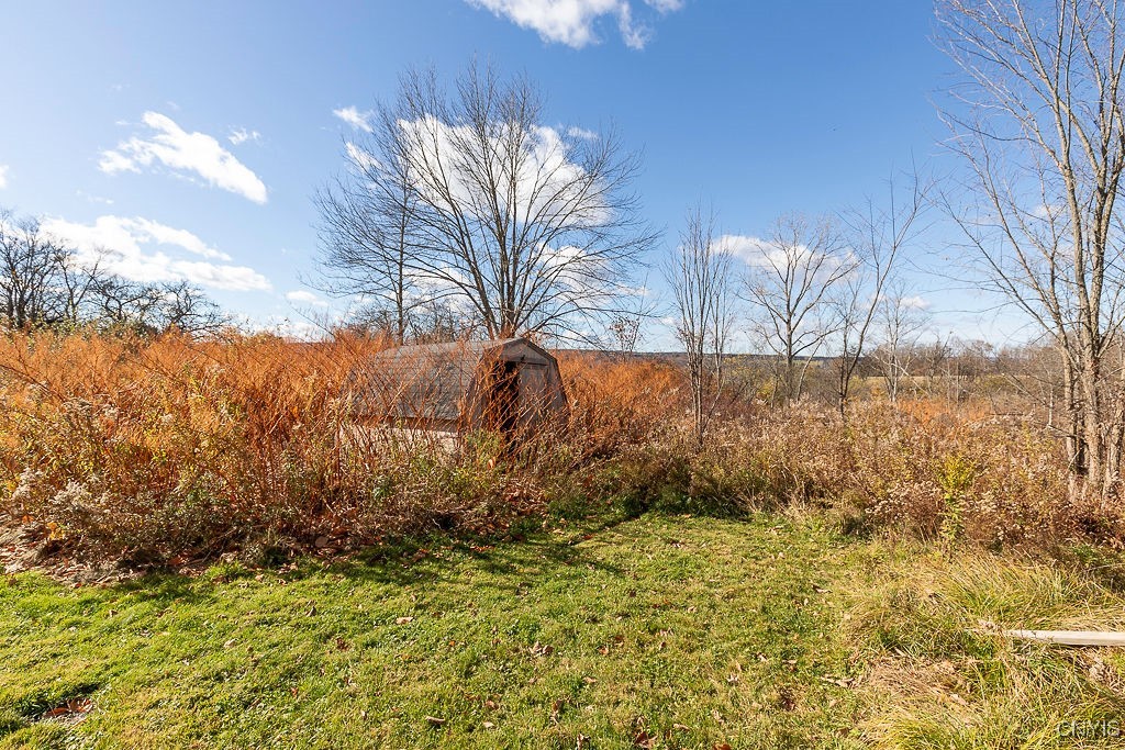 668 Troy Road Danby, NY 14850 - Photo 22 of 22