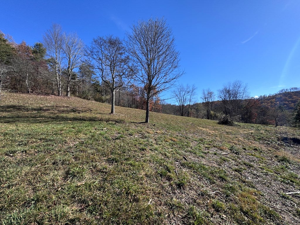 0 Cold Hollow Road Rainelle, WV 25962 - Photo 8 of 30 Gallery Image 8