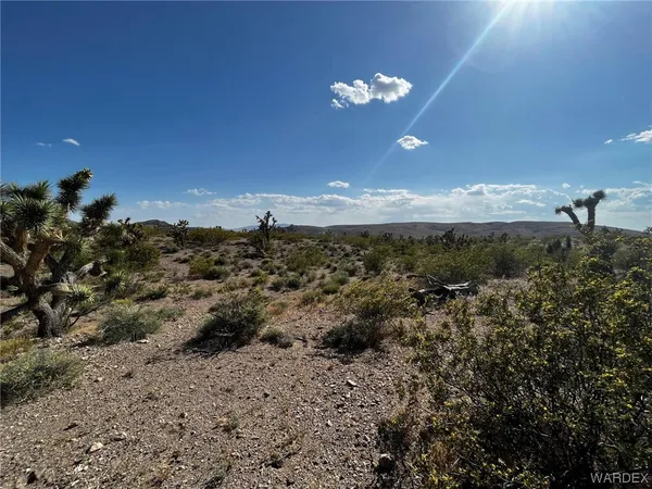 $32,000 | 20618 North Deer Drive, White Hills, AZ 86445