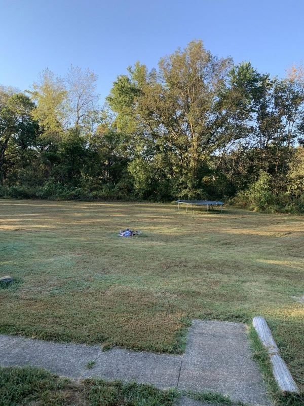 6479 Highway 76 East Springfield, TN 37172 - Photo 8 of 8