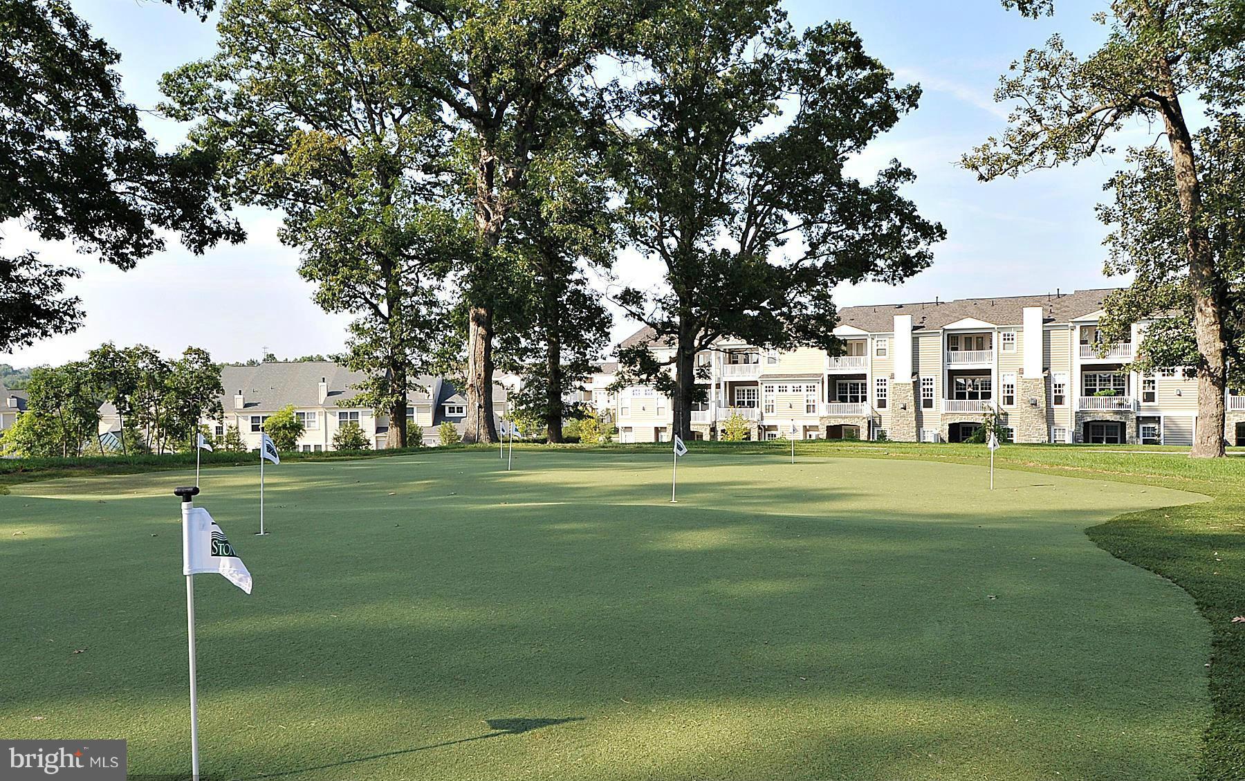 8766 Boulder Ridge Road Laurel, MD 20723 - Photo 28 of 30 Putting Green