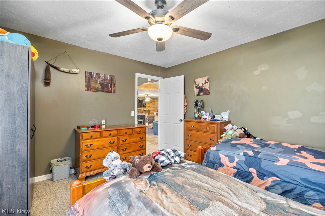 37581 Capel Road Grafton, OH 44044 - Photo 28 of 49