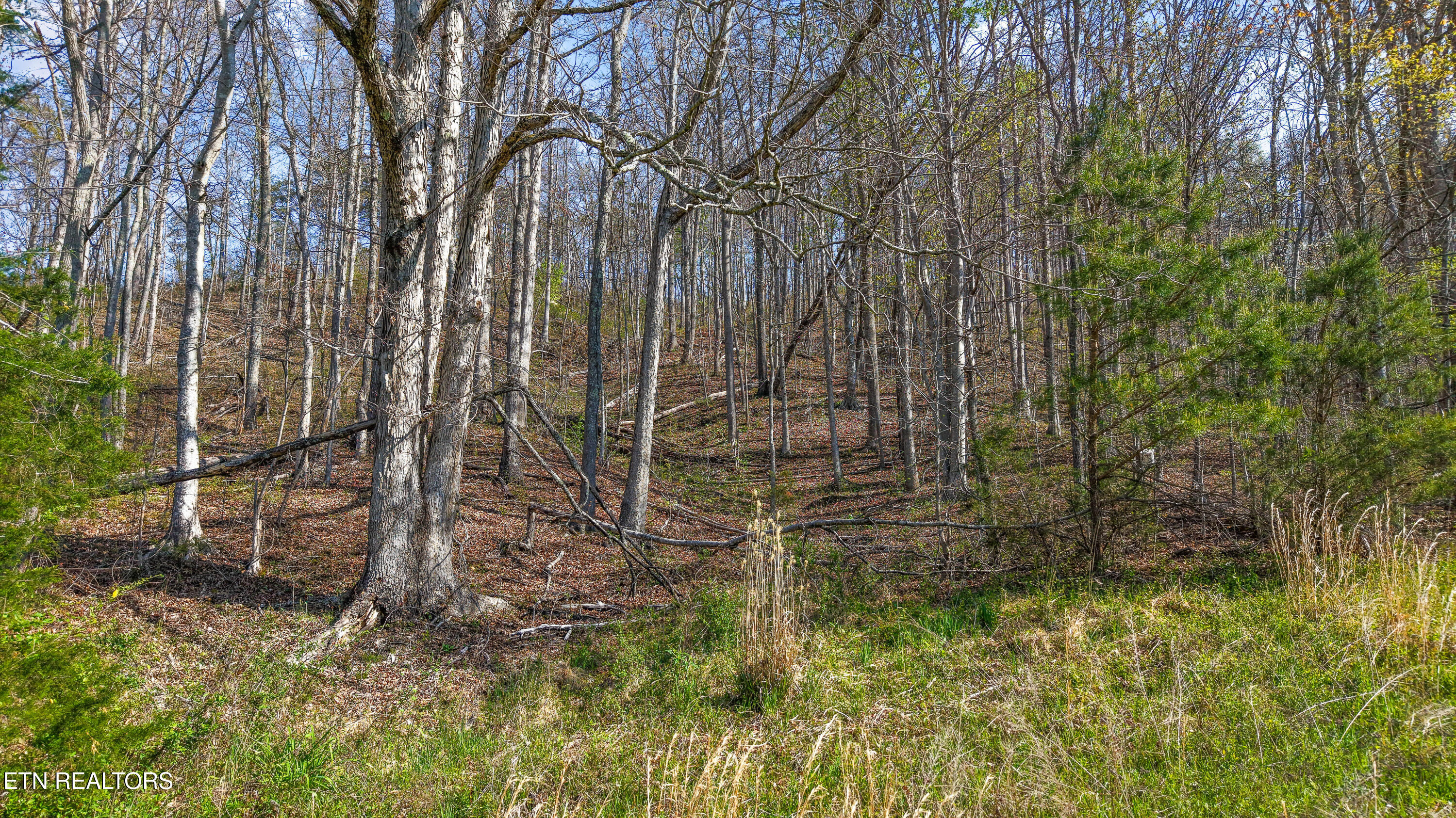 542 Back Valley Road Sneedville, TN 37869 - Photo 19 of 31 IMG_0208