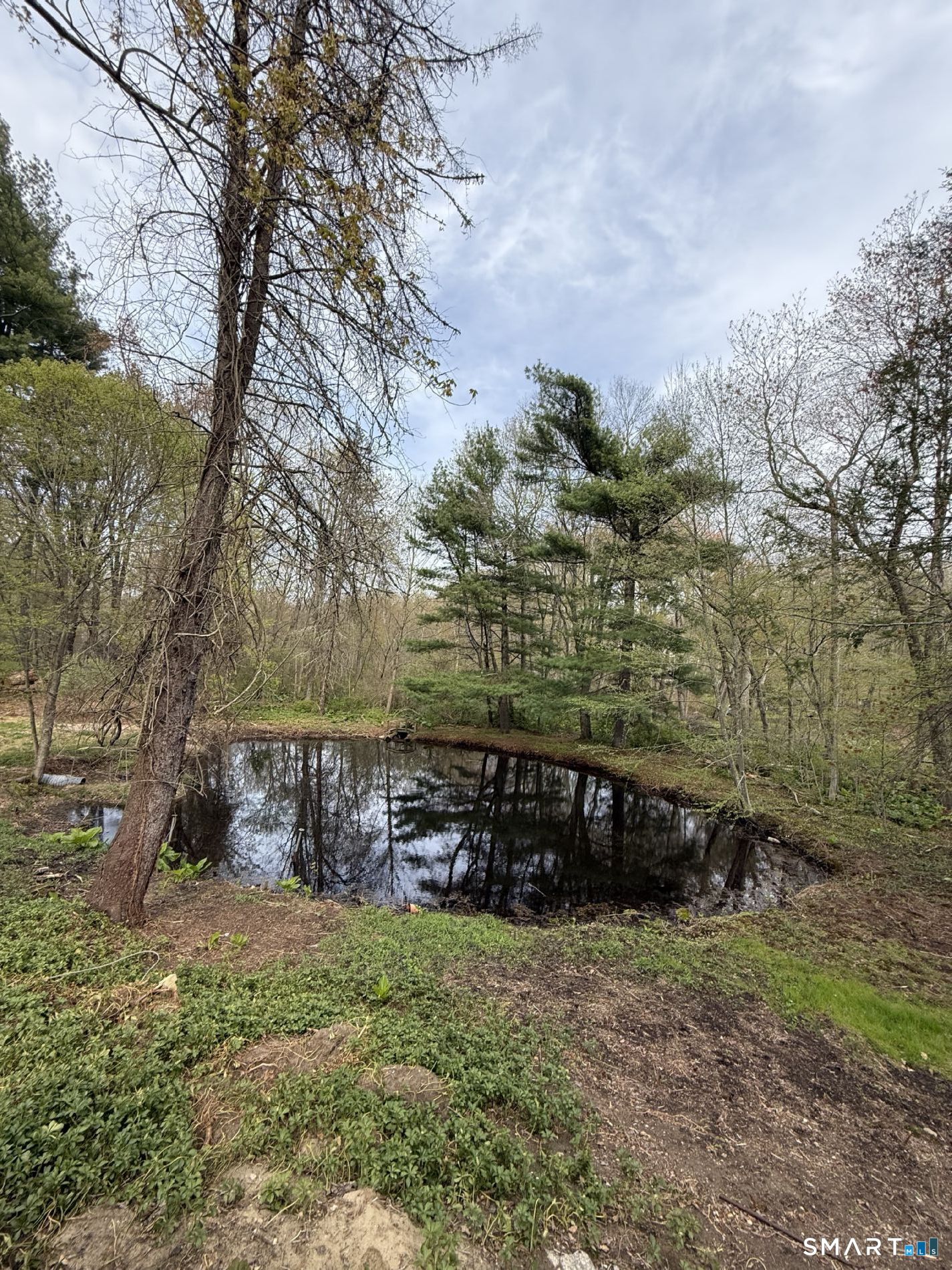 602 Fan Hill Road Monroe, CT 06468 - Photo 31 of 32