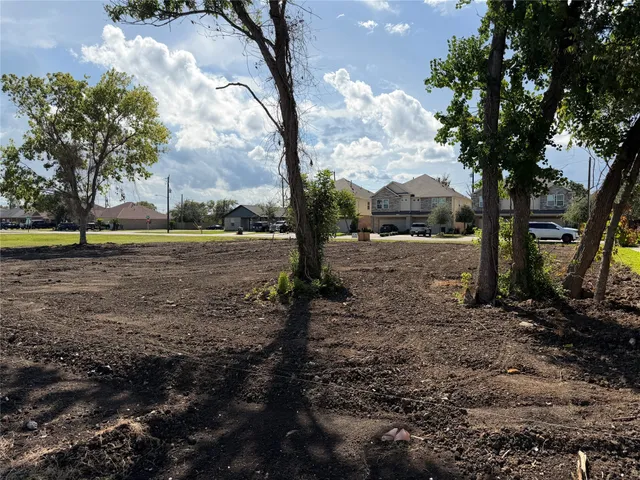 a view of a yard with plants and large trees