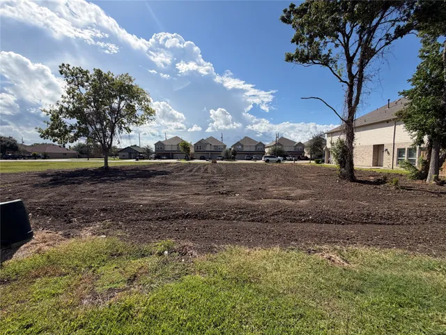 a view of dirt yard with a large tree
