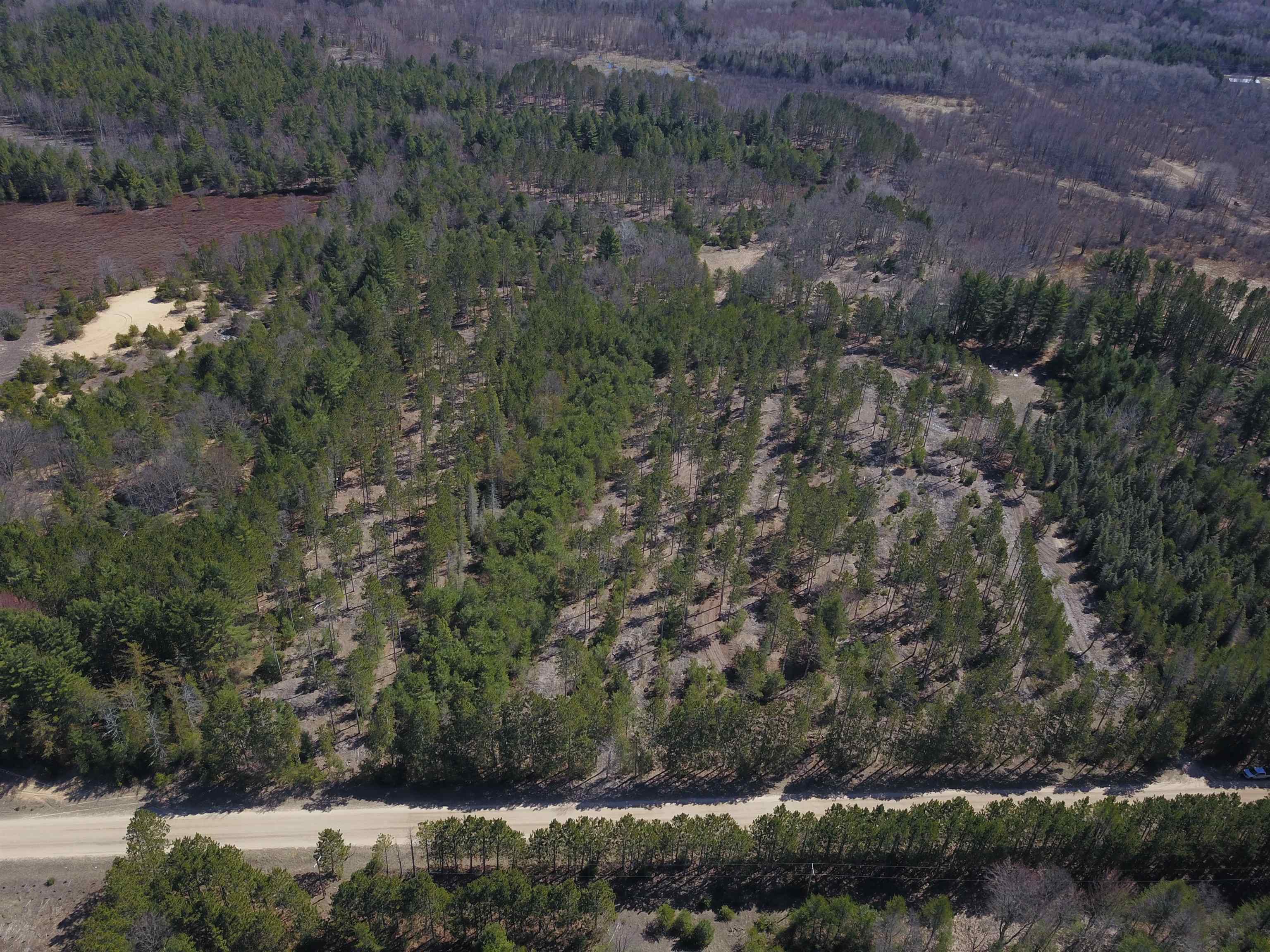 9.69-acres Niemi Road Kaleva, MI 49645 - Photo 15 of 30
