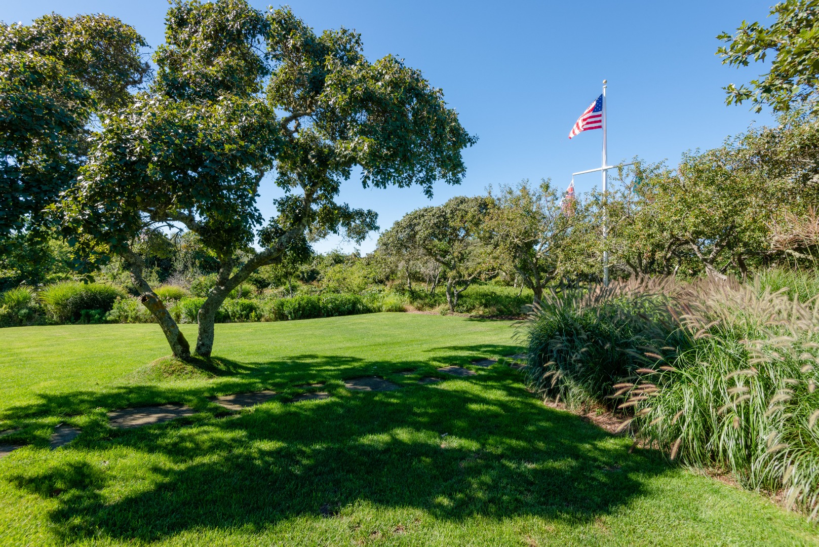 26 Pocomo Road Nantucket, MA 02554 - Photo 40 of 43 a view of a green field with lots of bushes