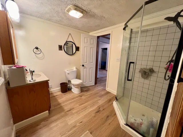 a bathroom with a granite countertop sink a toilet and shower