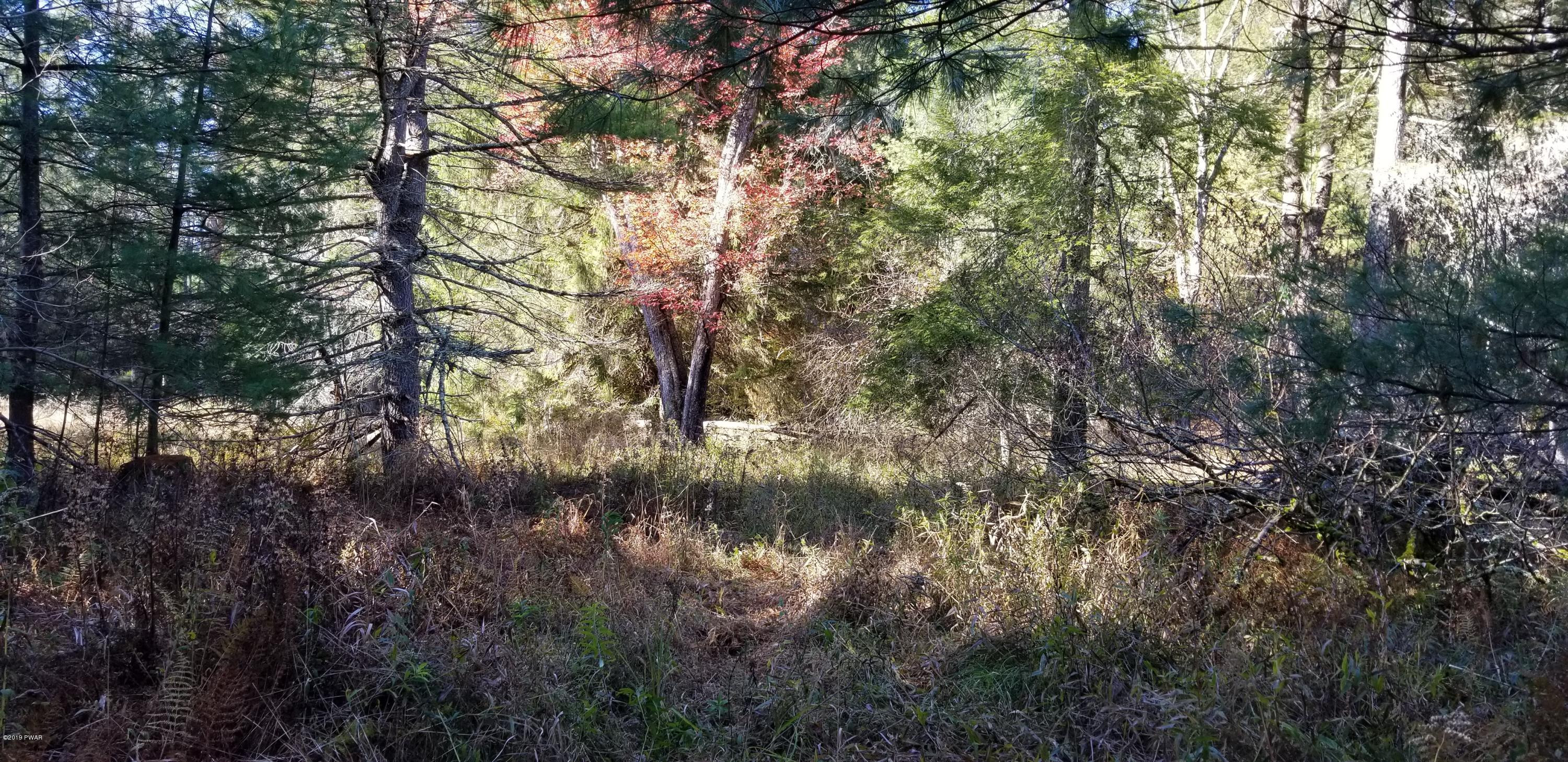 Lot #22 Swamp Pond Road Narrowsburg, NY 12764 - Photo 25 of 36