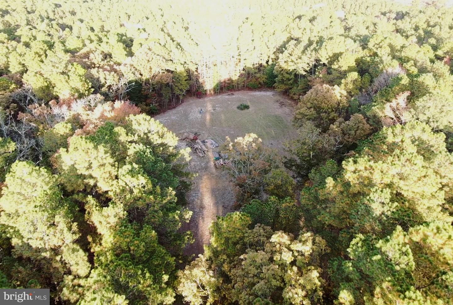 7240 Stevens Road Eden, MD 21822 - Photo 1 of 5 Two acres cleared and ready for your dream home.