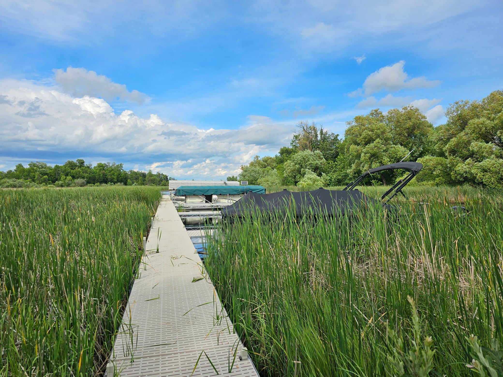 18 Branch Creek Road Detroit Lakes, MN 56501 - Photo 10 of 13