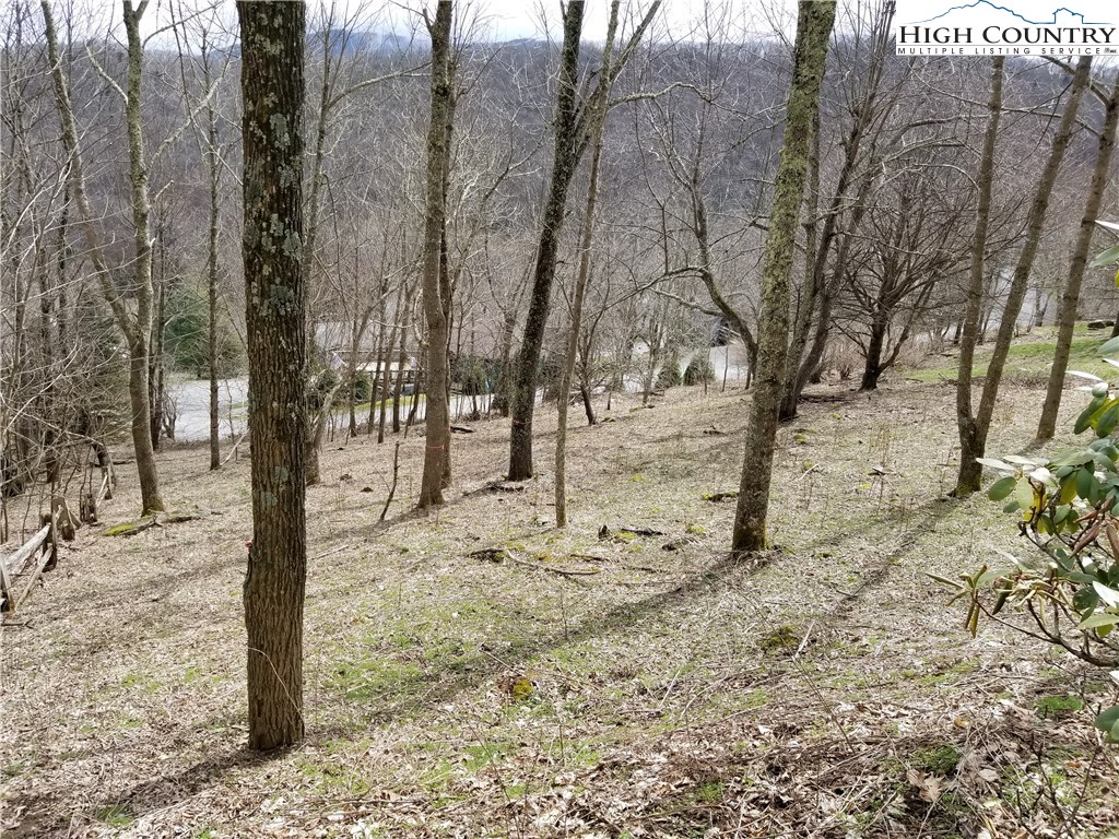 Lot 3 Skiview Road Banner Elk, NC 28604 - Photo 1 of 11 Gallery Image 1