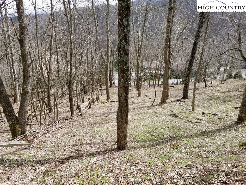 Lot 3 Skiview Road Banner Elk, NC 28604 - Photo 2 of 11 Gallery Image 2