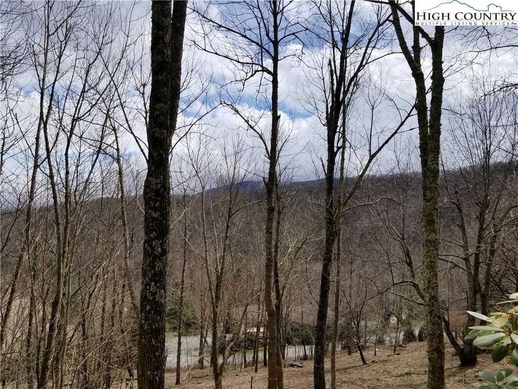 Lot 3 Skiview Road Banner Elk, NC 28604 - Photo 3 of 11 Gallery Image 3