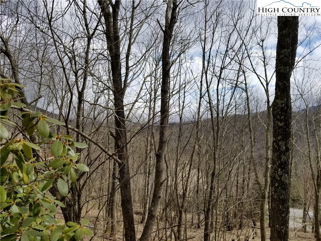 Lot 3 Skiview Road Banner Elk, NC 28604 - Photo 4 of 11 Gallery Image 4