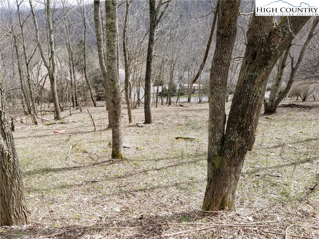 Lot 3 Skiview Road Banner Elk, NC 28604 - Photo 6 of 11 Gallery Image 6