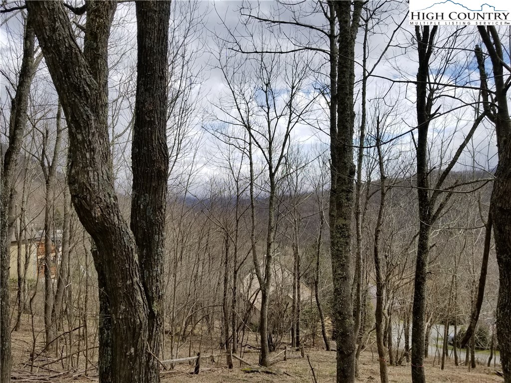 Lot 3 Skiview Road Banner Elk, NC 28604 - Photo 7 of 11 Gallery Image 7
