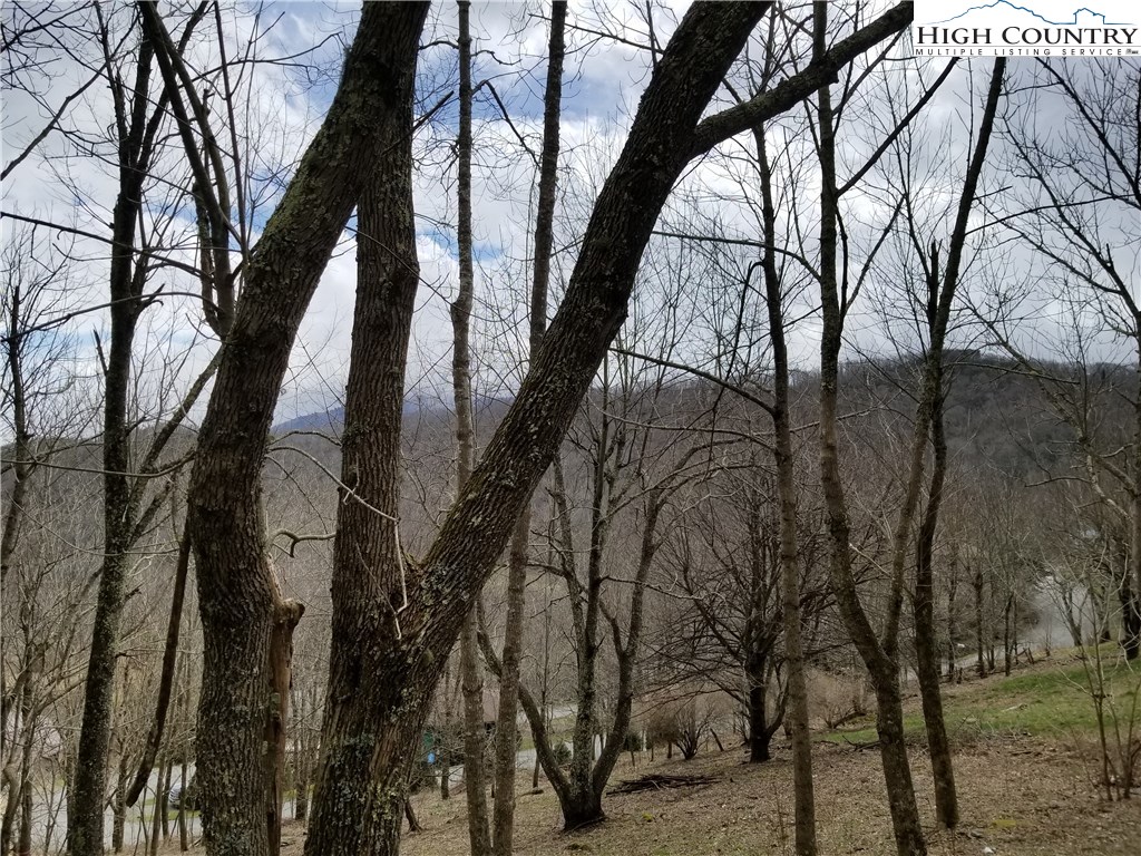 Lot 3 Skiview Road Banner Elk, NC 28604 - Photo 8 of 11 Gallery Image 8