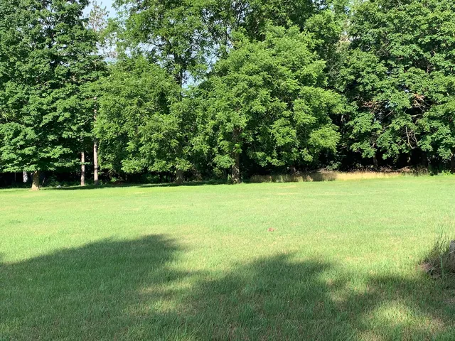 $40,000 | Lizzie Avenue, Hesperia, MI 49421