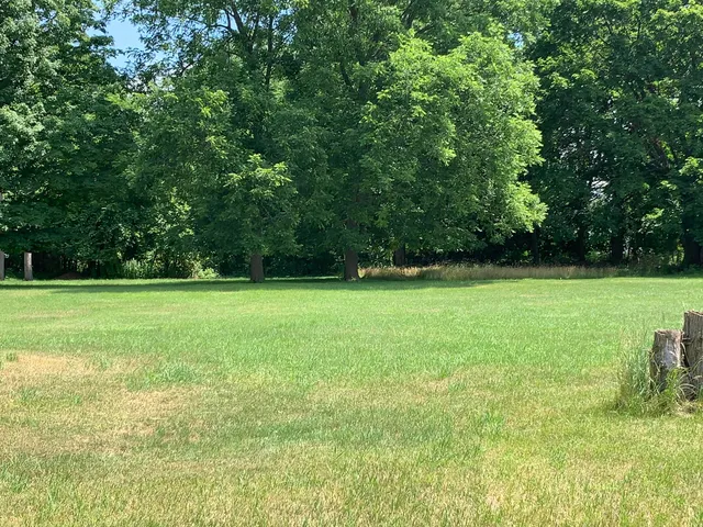 $40,000 | Lizzie Avenue, Hesperia, MI 49421