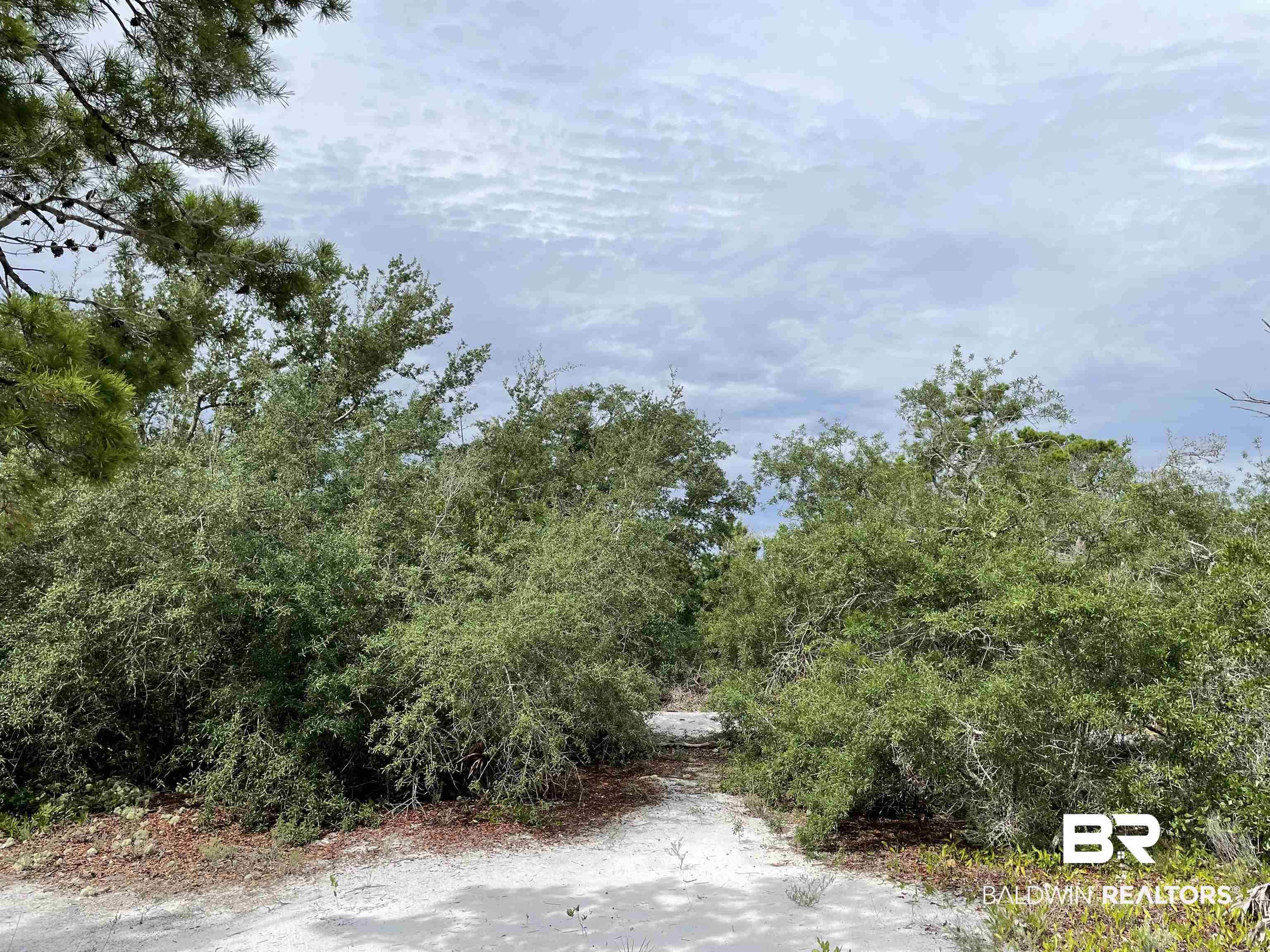 Lot 140-0 River Road Orange Beach, AL 36561 - Photo 4 of 4