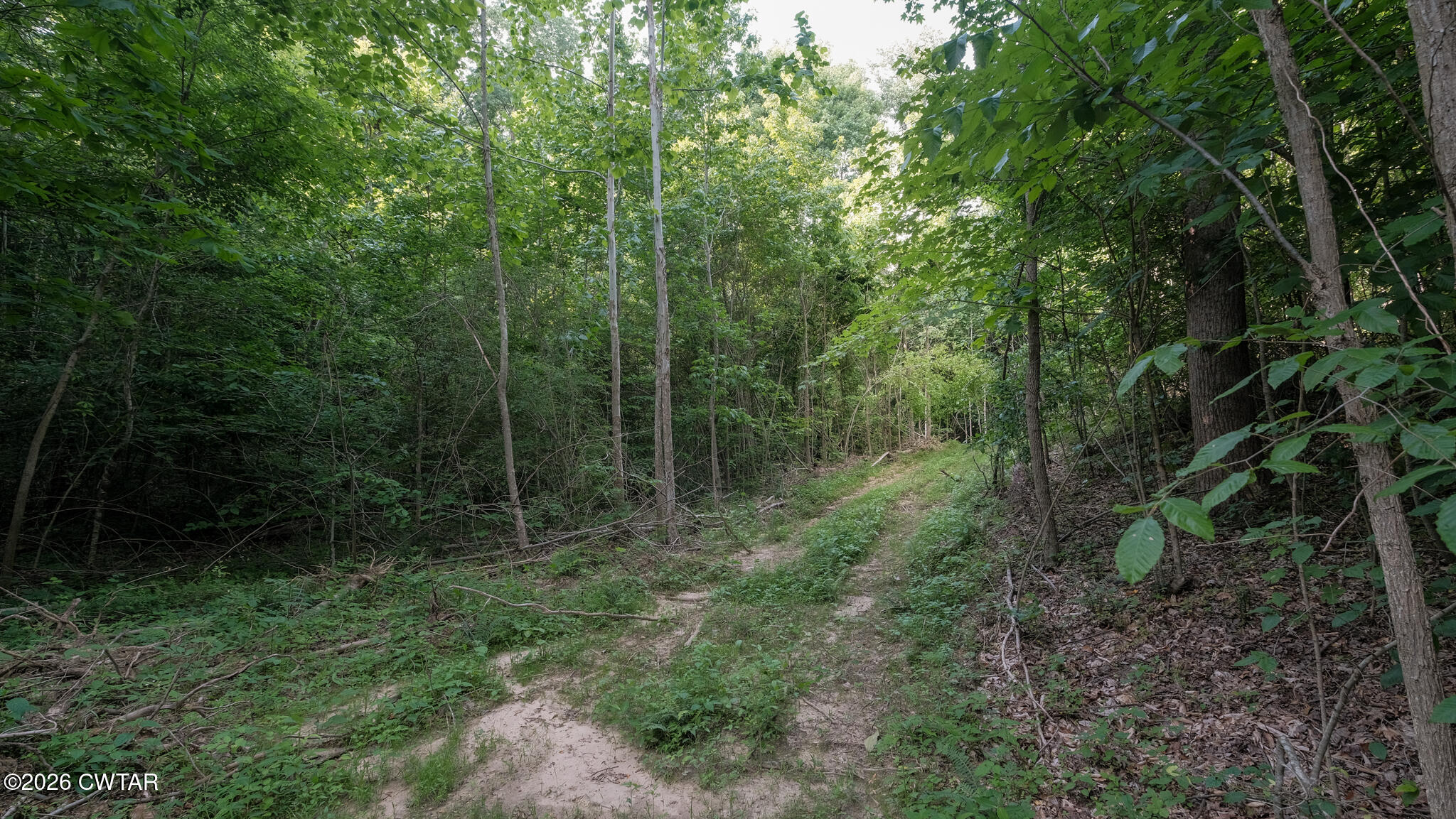 382 Mcadams Road Greenfield, TN 38230 - Photo 18 of 26 McAdams-8_(2048)