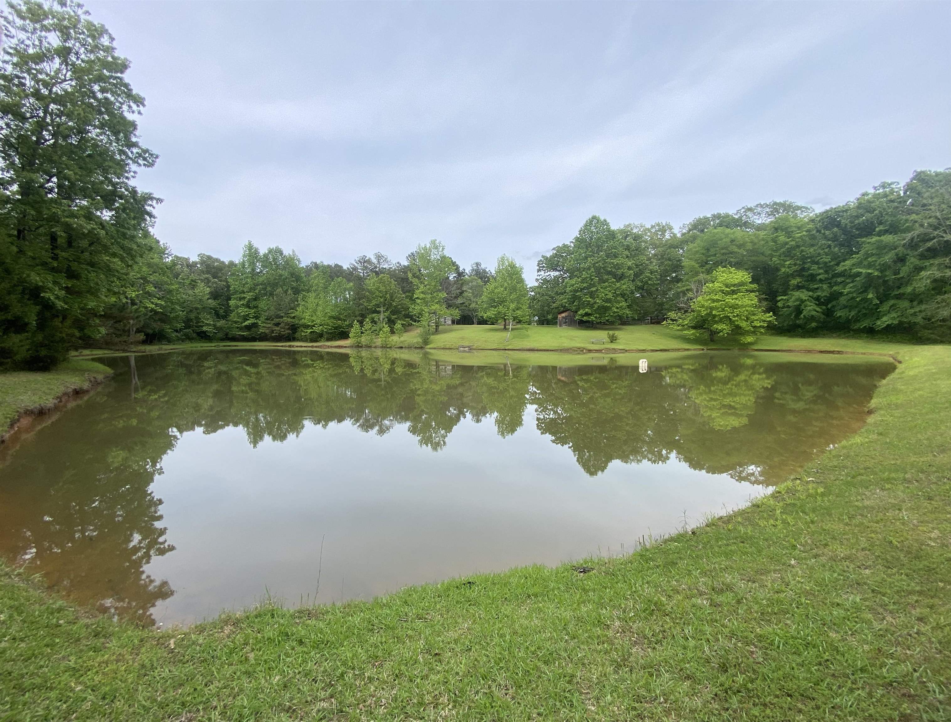 427 South Maple Street Adamsville, TN 38310 - Photo 3 of 40 Gallery Image 3