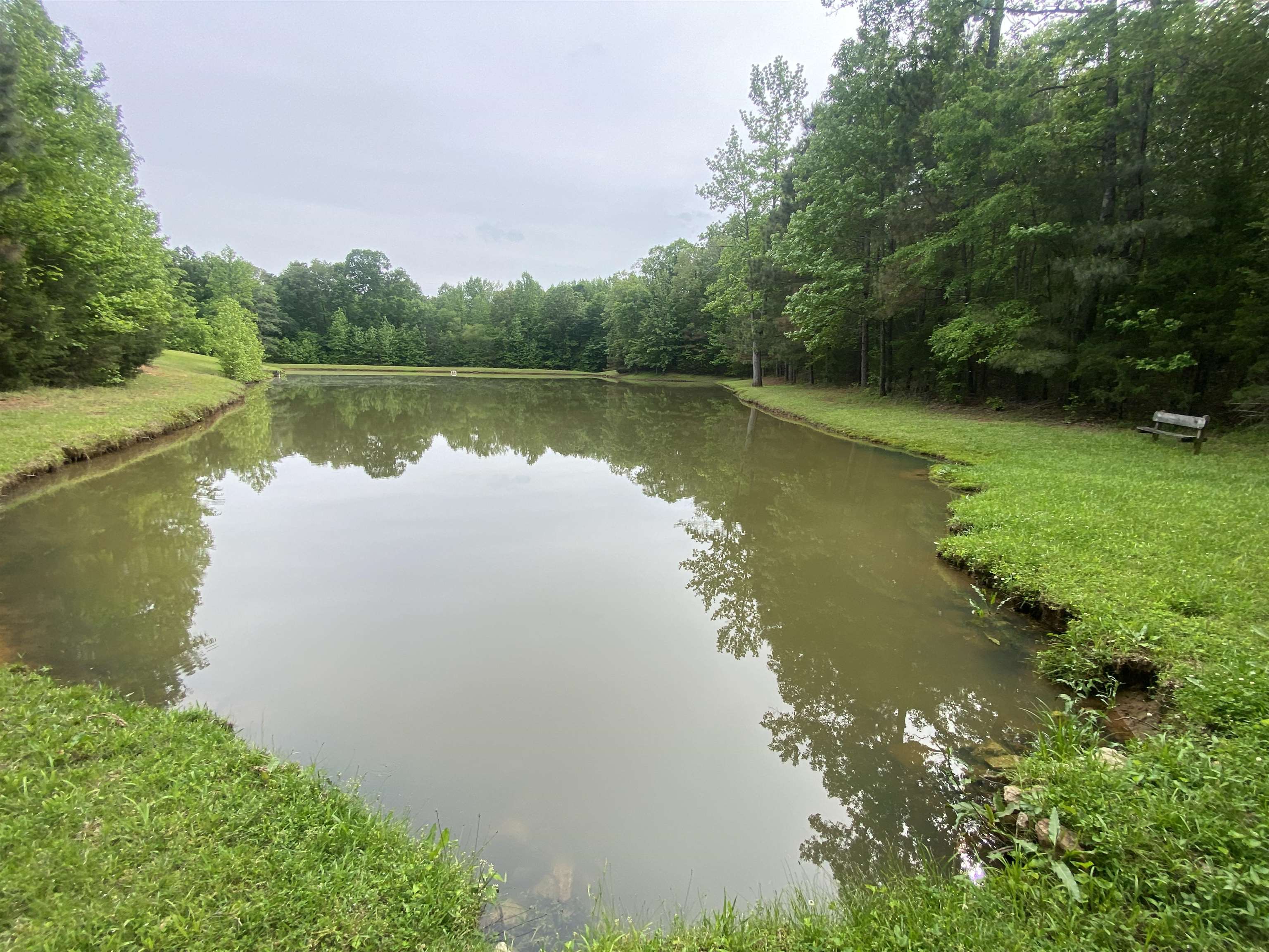 427 South Maple Street Adamsville, TN 38310 - Photo 31 of 40 Gallery Image 31