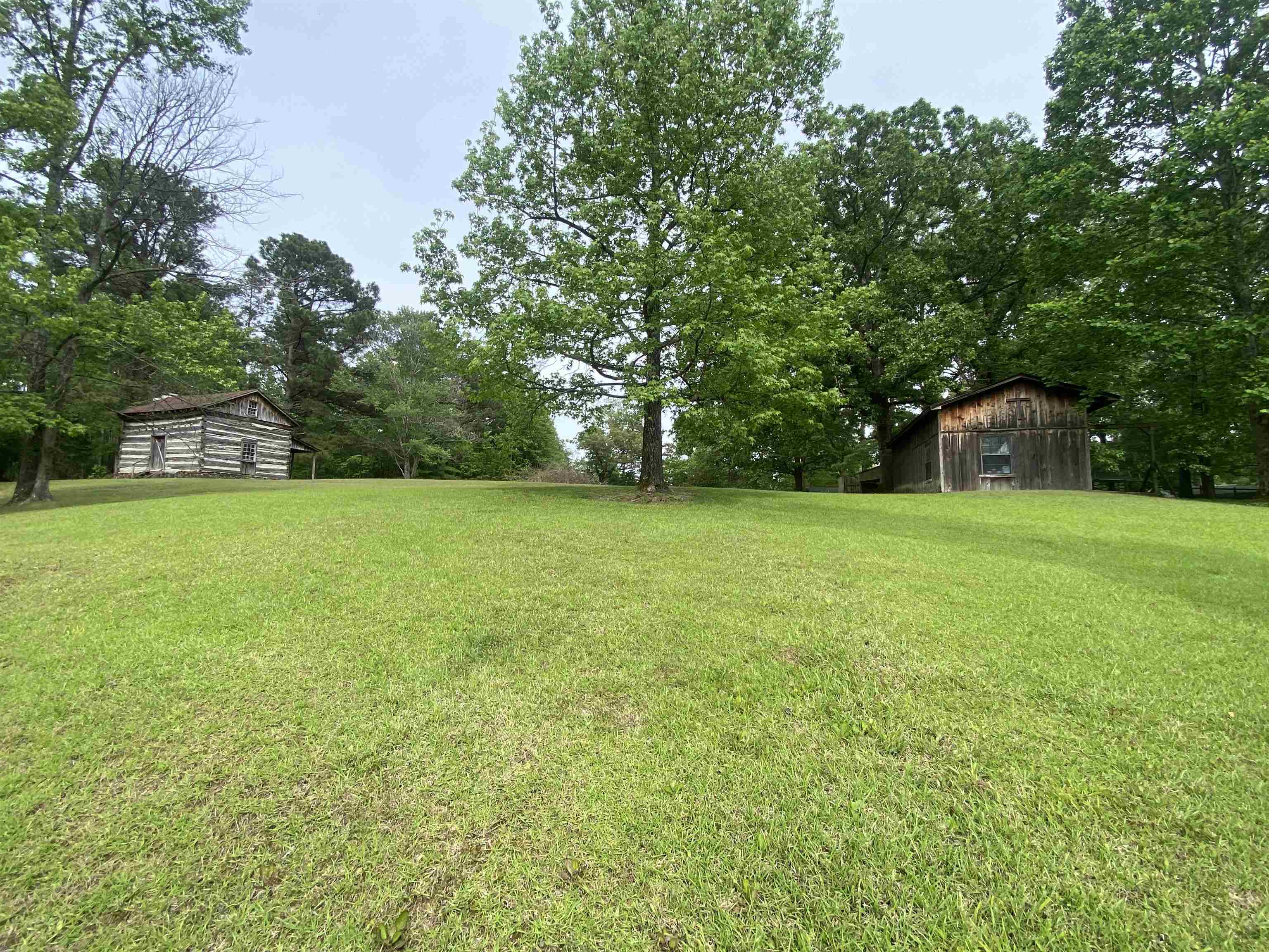 427 South Maple Street Adamsville, TN 38310 - Photo 8 of 40 Gallery Image 8