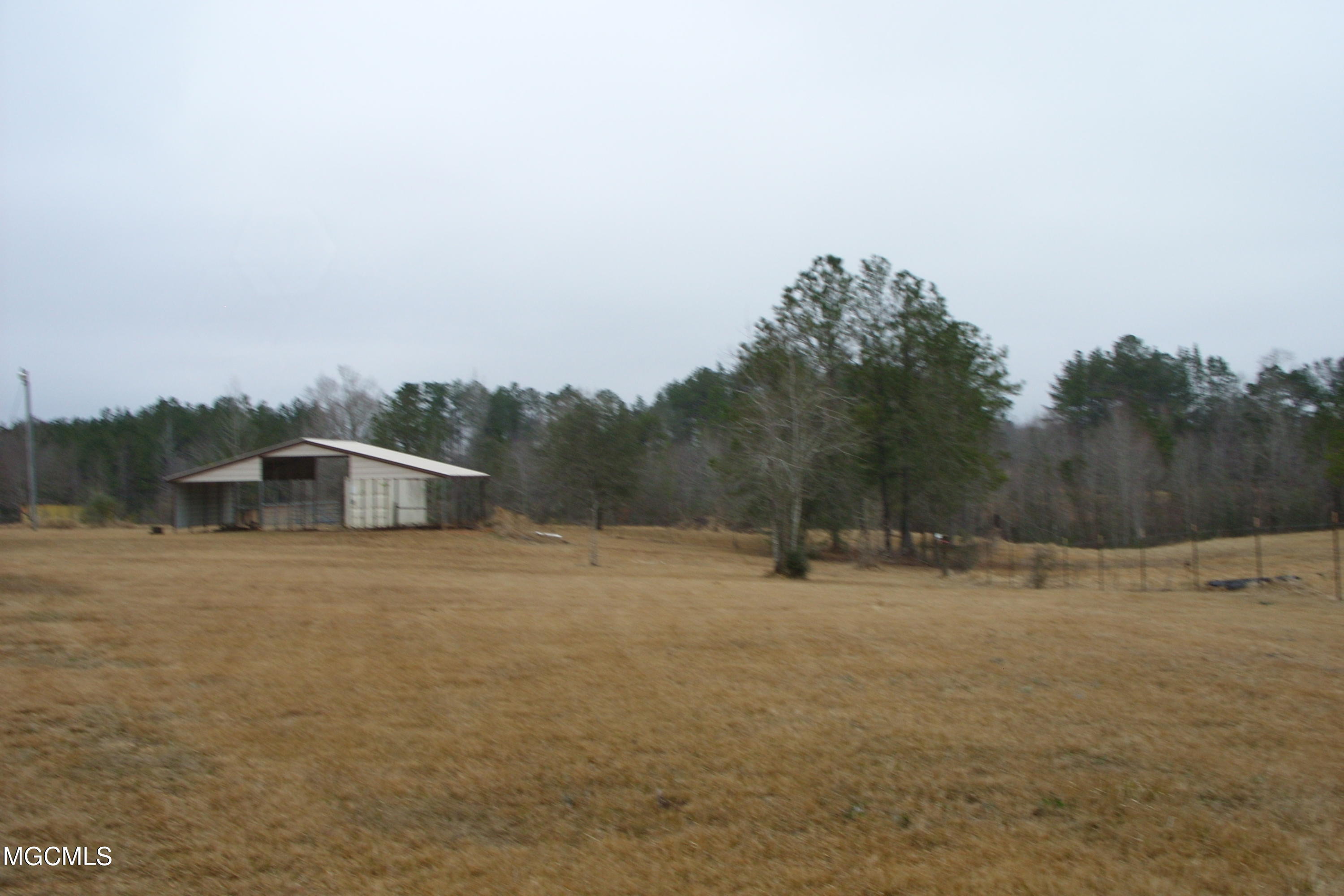 3136 Mt Pleasant Road Lucedale, MS 39452 - Photo 3 of 32 SS853197